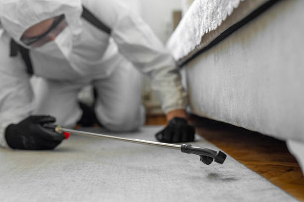 Professional Termite Control technician working in Garden City Park, NY