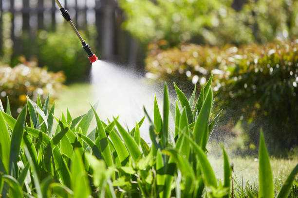24/7 Emergency Termite Control experts in Garden City Park, NY