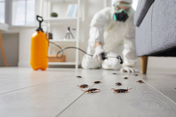 Trusted Termite Control service in Garden City Park, NY - Nex Pest Control