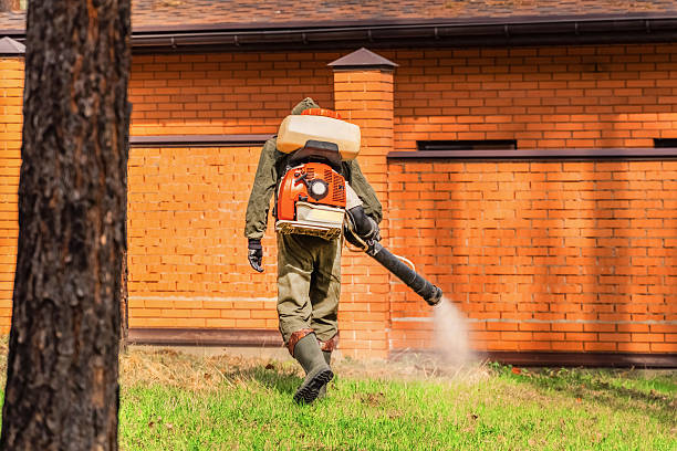 Trusted Bed Bug Control service in Garden City Park, NY - Nex Pest Control
